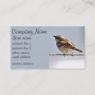 Sparrow Visitkort