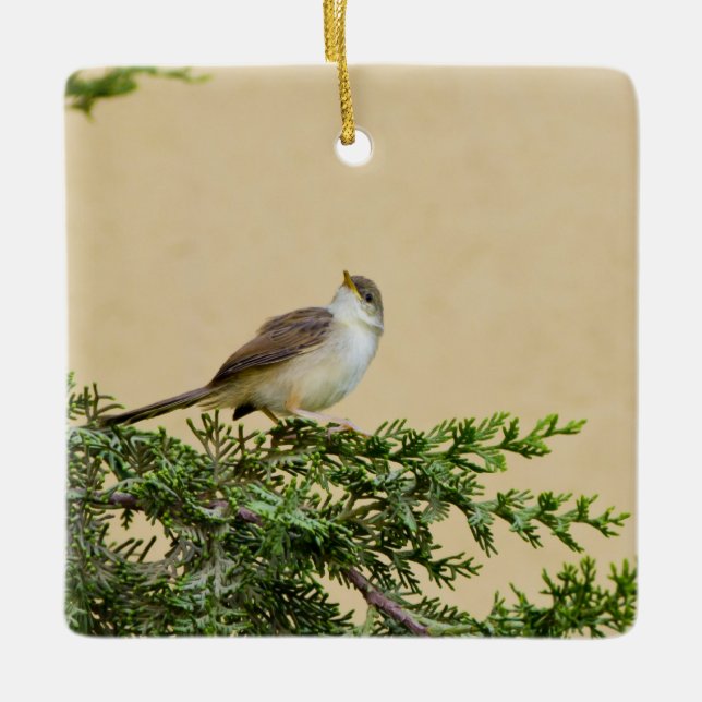 Sparrow vykort julgransprydnad keramik (Framsida)