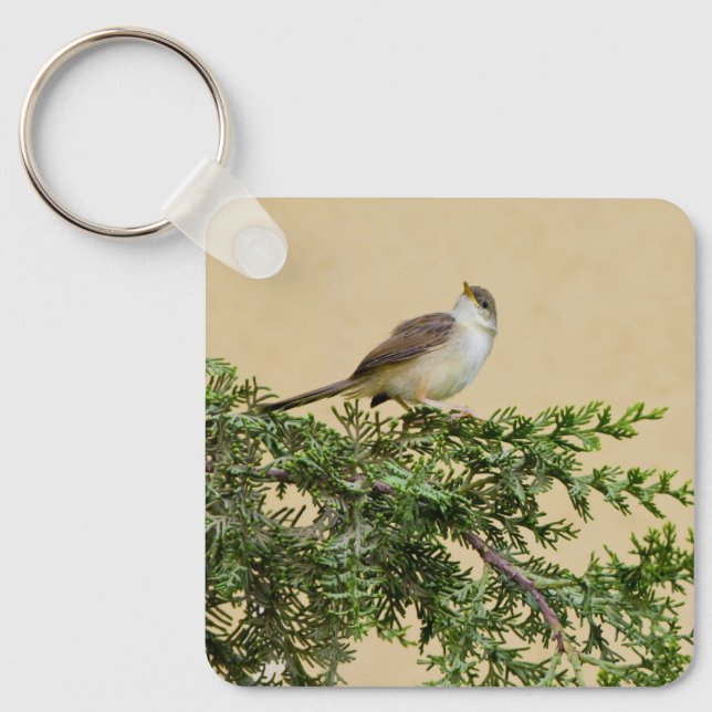 Sparrow-vykort Nyckelring (Framsida)