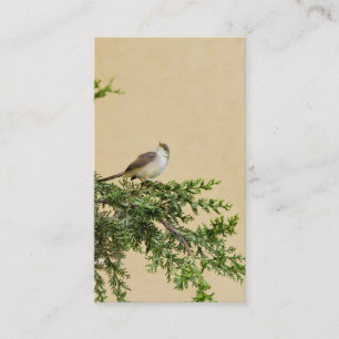 Sparrow-vykort Placeringskort