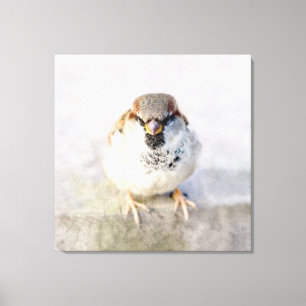 Sparrow - Warrior Canvastryck