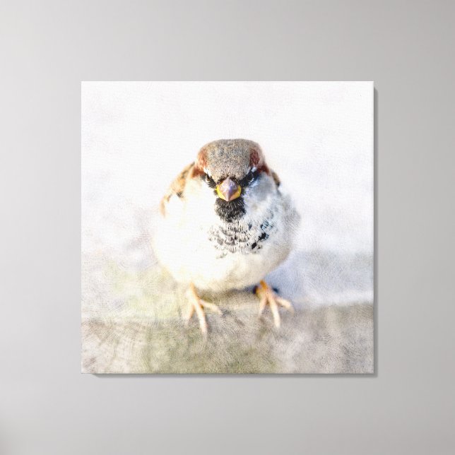 Sparrow - Warrior Canvastryck (Framsida)