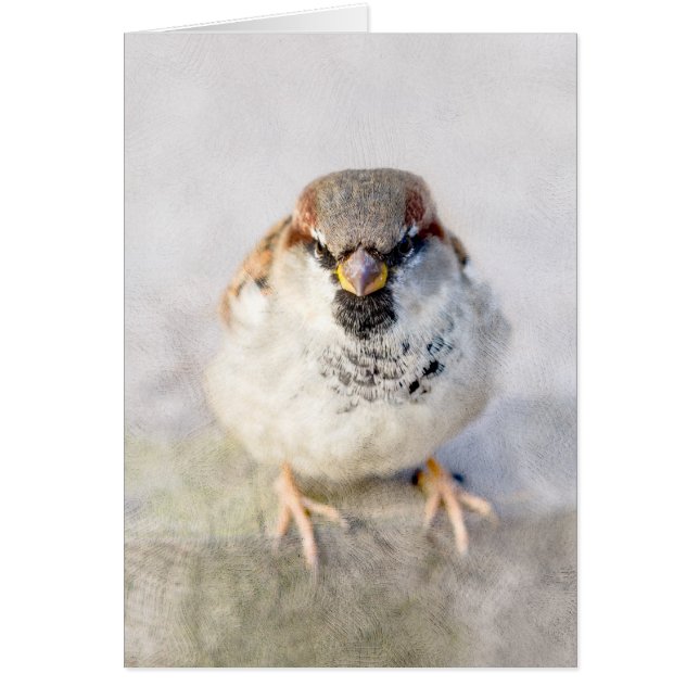 Sparrow - Warrior Hälsningskort (Framsidan)