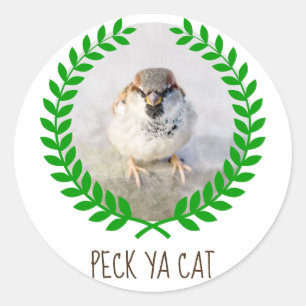 Sparrow Warrior - Peck Ya Cat roligt anpassade Runt Klistermärke