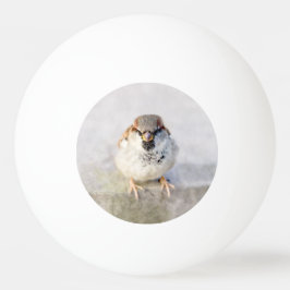 Sparrow - Warrior Pingisboll