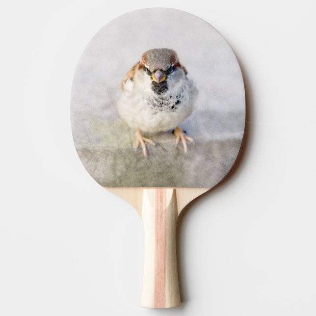 Sparrow - Warrior Pingisracket (Baksidan)