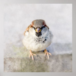 Sparrow - Warrior Poster