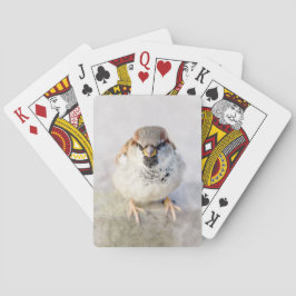 Sparrow - Warrior Spel Kort