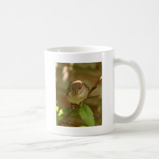 Sparrowfoto Kaffemugg