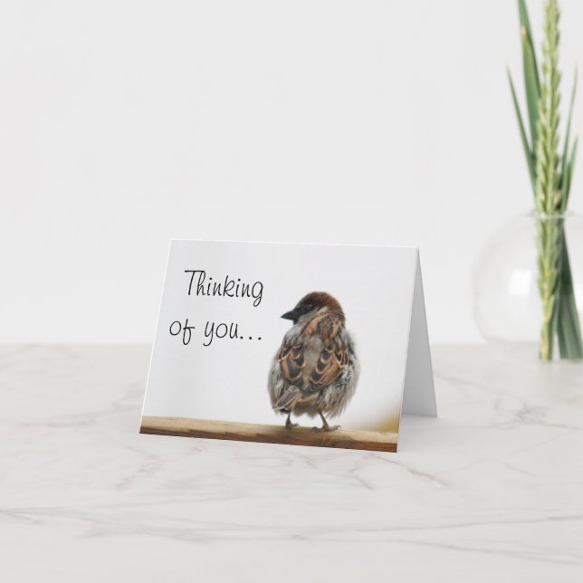 Sparrowfoto Kort (Framsida)