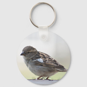 Sparrowfoto Nyckelring