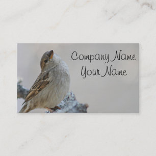 Sparrowfoto Visitkort