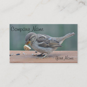 Sparrowfoto Visitkort