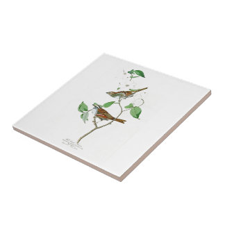SparrowJohn Audubon för vit Throated fåglar Kakelplatta