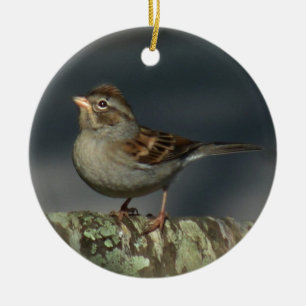 Sparrowprydnad Julgransprydnad Keramik