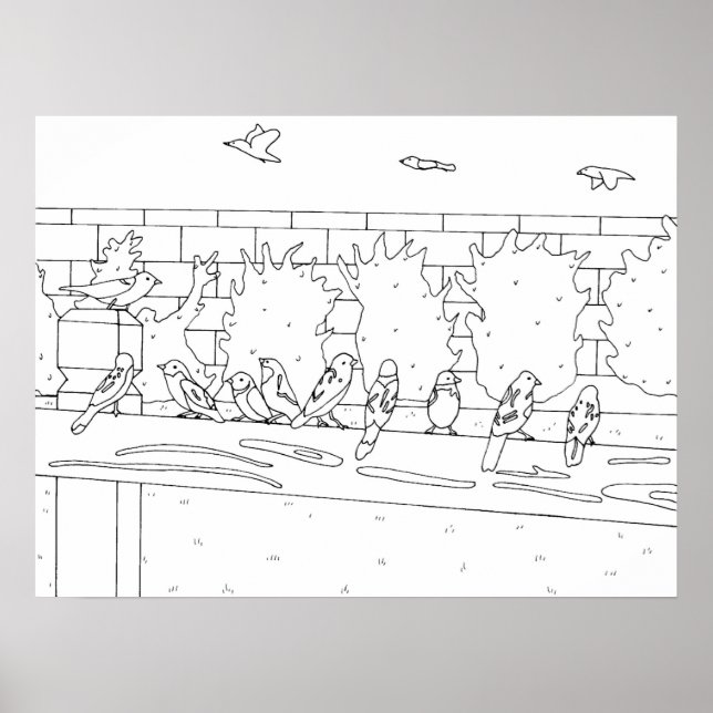 Sparrows Birds möte på teckning, Poster (Framsidan)