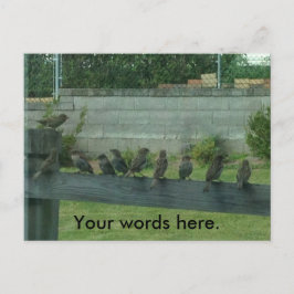 Sparrows Birds på en järnväg Ditt Ord Postkort Vykort