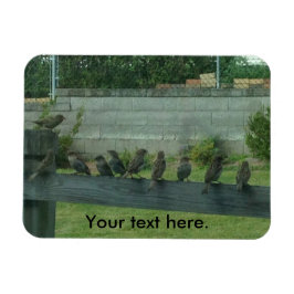 Sparrows Birds Sitta på ett järnvägsmagnet Magnet