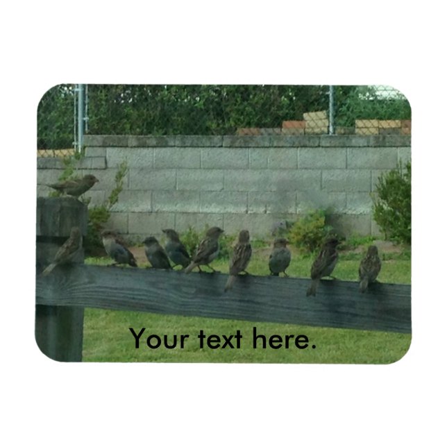 Sparrows Birds Sitta på ett järnvägsmagnet Magnet (Horisontell)