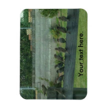 Sparrows Birds Sitta på ett järnvägsmagnet