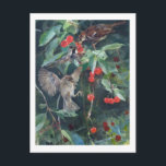 Sparrows in a Cherry Träd, Bruno Liljefors Vykort<br><div class="desc">Bruno Andreas Liljefors (14 maj 1860-18 december 1939) var svensk konstnär. Han är kanske bäst känd för sin natur och sina djurmotiv, särskilt i dramatiska situationer. Han var den viktigaste och förmodligen mest inflytelserika svenska naturvårdsmålaren i slutet av 1800- och 1900-talet i tidigt. Han ritade också några sekventiella bild-historier och...</div>