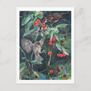 Sparrows in a Cherry Träd, Bruno Liljefors Vykort