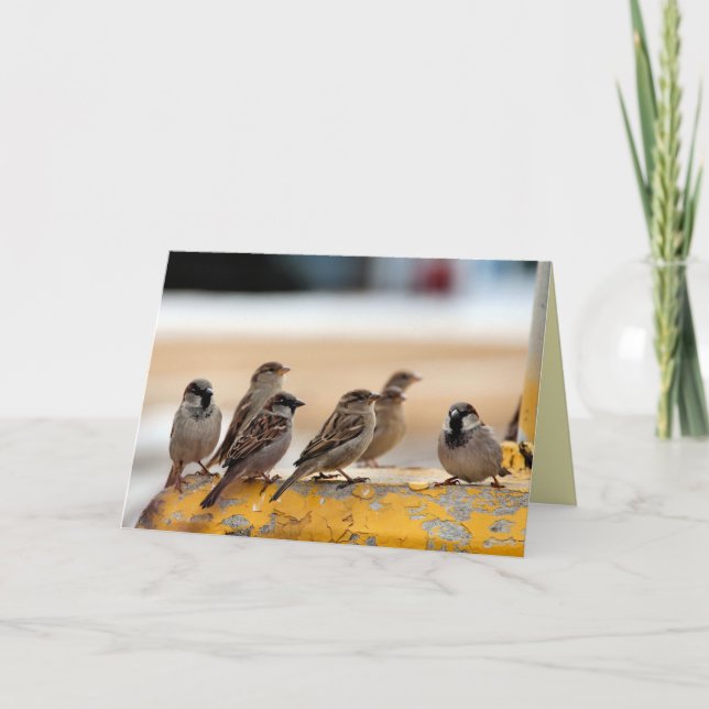 Sparrows Kort (Framsida)