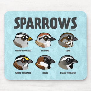 Sparrows Musmatta