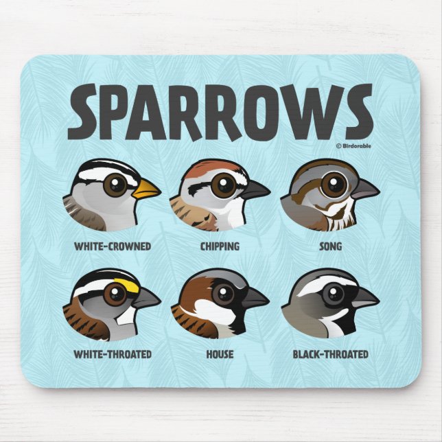 Sparrows Musmatta (Framsidan)