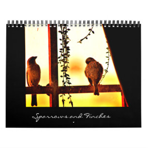 Sparrows och Finches Kalender