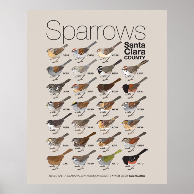 Sparrows of Santa Clara County Poster (Framsidan)