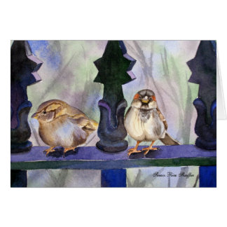 Sparrows på fence.en OBS kort
