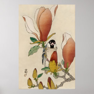 Sparv på blommande magnoliagren Japansk finkonst Poster