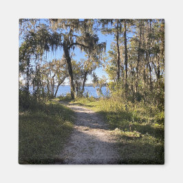 Spårvatten vid floden magnet