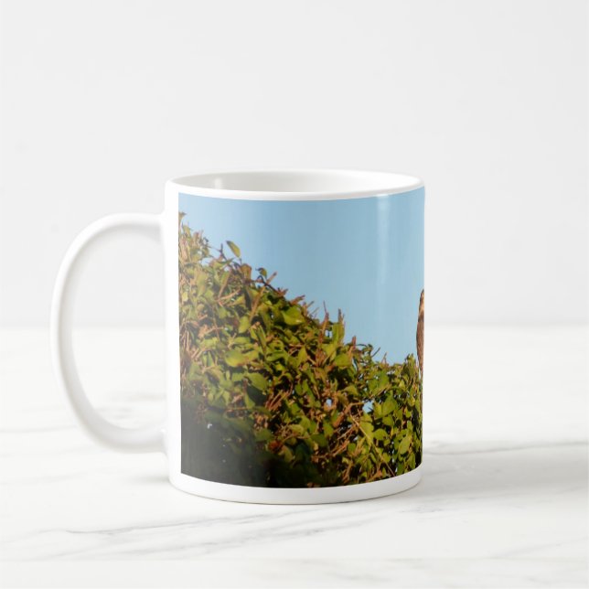 Sparvhök Kaffemugg (Vänster)