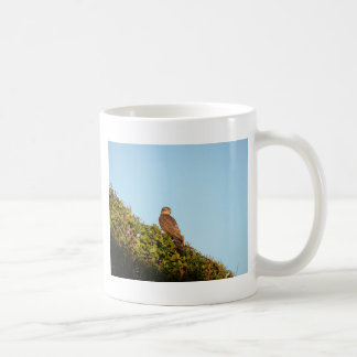 Sparvhök Kaffemugg