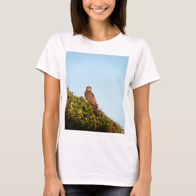 Sparvhök Tee (Framsida)