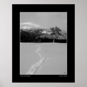 Spårvidd till en fågel i vinter (monokrom) poster