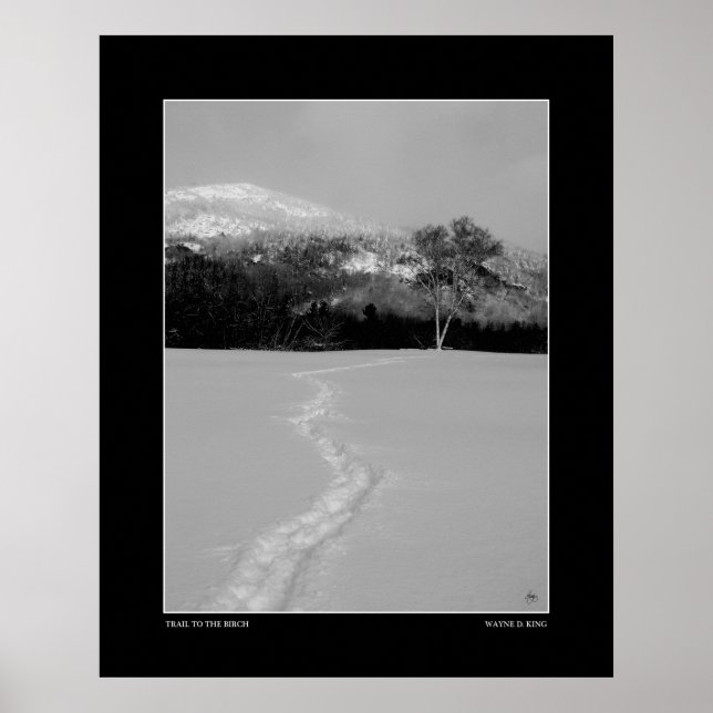 Spårvidd till en fågel i vinter (monokrom) poster (Framsidan)