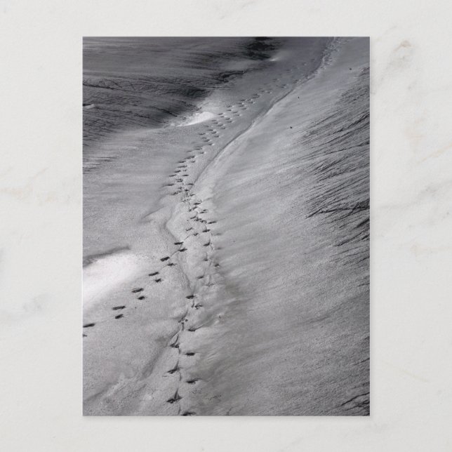 spårvykort vykort (Framsida)