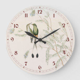 Spathura Peruana Hummingbirds by John Gould Stor Klocka