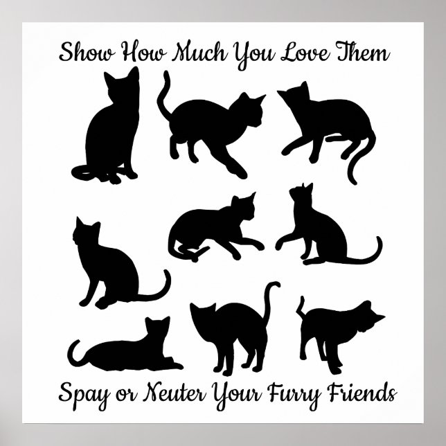 Spay eller Neuter Poster (Framsidan)