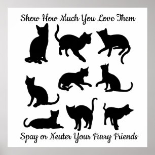 Spay eller sterilisera poster