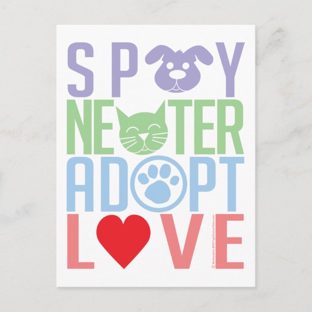 Spay Neuter Adopt Kärlek 2 Vykort (Framsida)