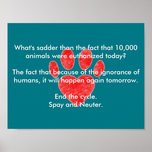 Spay & Neuter Pawprint Poster (Framsidan)