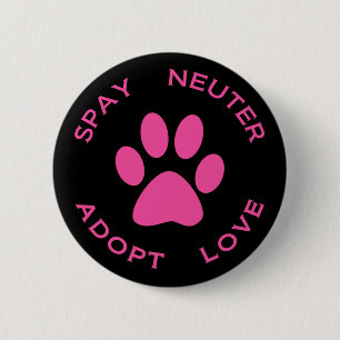 Spay neutrat adopterar kärlek knapp