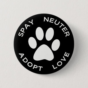Spay neutrat adopterar kärlek knapp