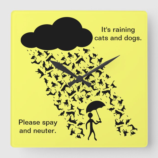 "Spay, och den neutrum" väggen tar tid på Fyrkantig Klocka (Framsida)