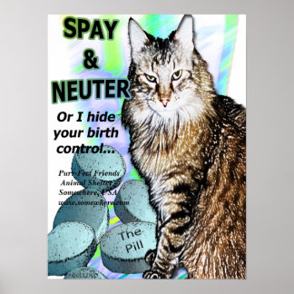 Spay och Neuter (eller jag gömmer din födelsekontr Poster