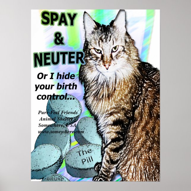 Spay och Neuter (eller jag gömmer din födelsekontr Poster (Framsidan)